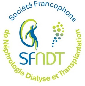 Logo SFNDT