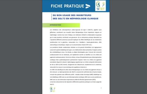 Fiche