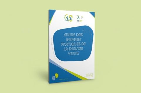 Image guide nephro verte