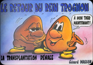 transplantation-renale